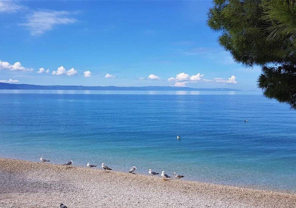Apartmani Mirona - Tučepi Exterior foto